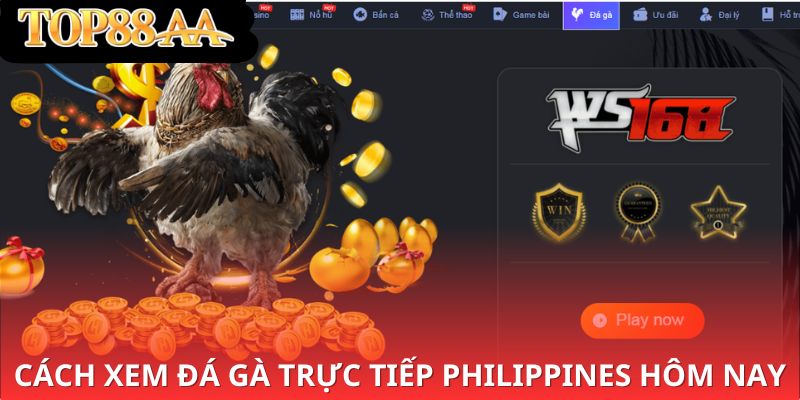 Cách xem đá gà trực tiếp Philippines hôm nay