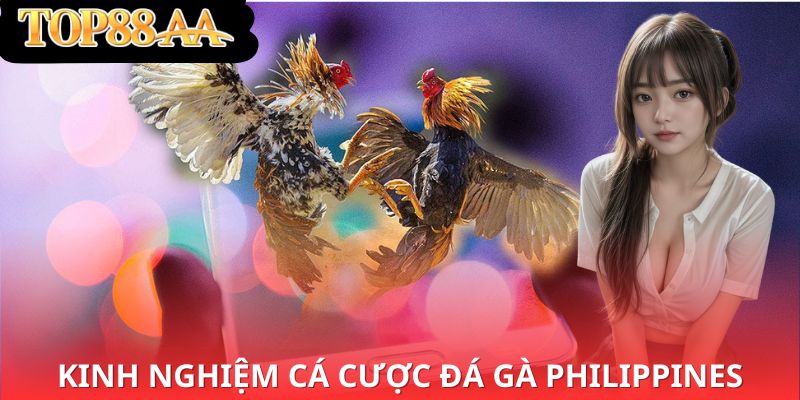 Kinh nghiệm cá cược đá gà Philippines