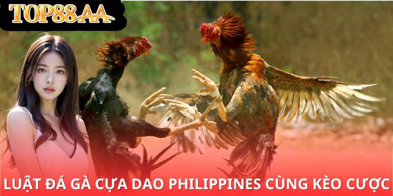 luật đá gà cựa dao Philippines cùng kèo cược